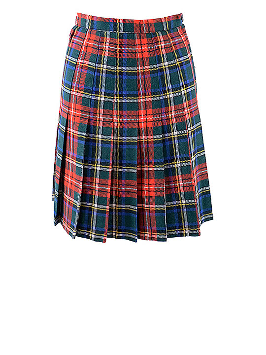 Wholesale Vintage Clothing Pleated skirts winter